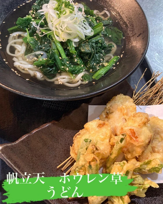 画像355