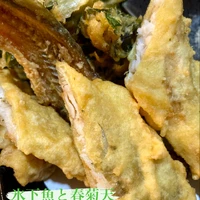 画像555