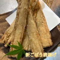 画像621